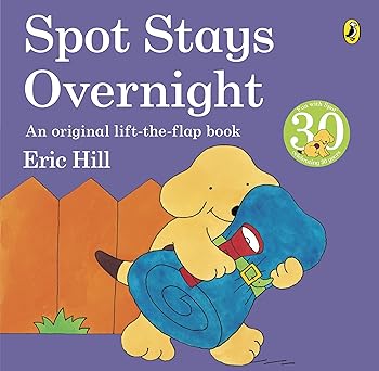 Spot Stays Overnight