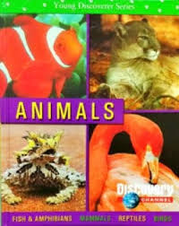 Young Discover Series: Animals