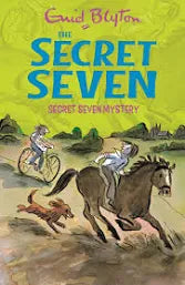 Secret Seven -Secret seven mystery